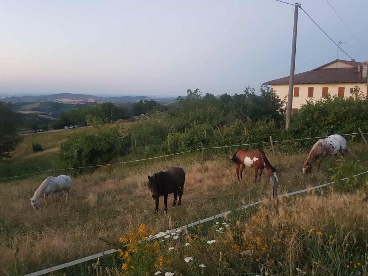 Agriturismo Piccola Raieda Villa Sasso Marconi Exterior photo